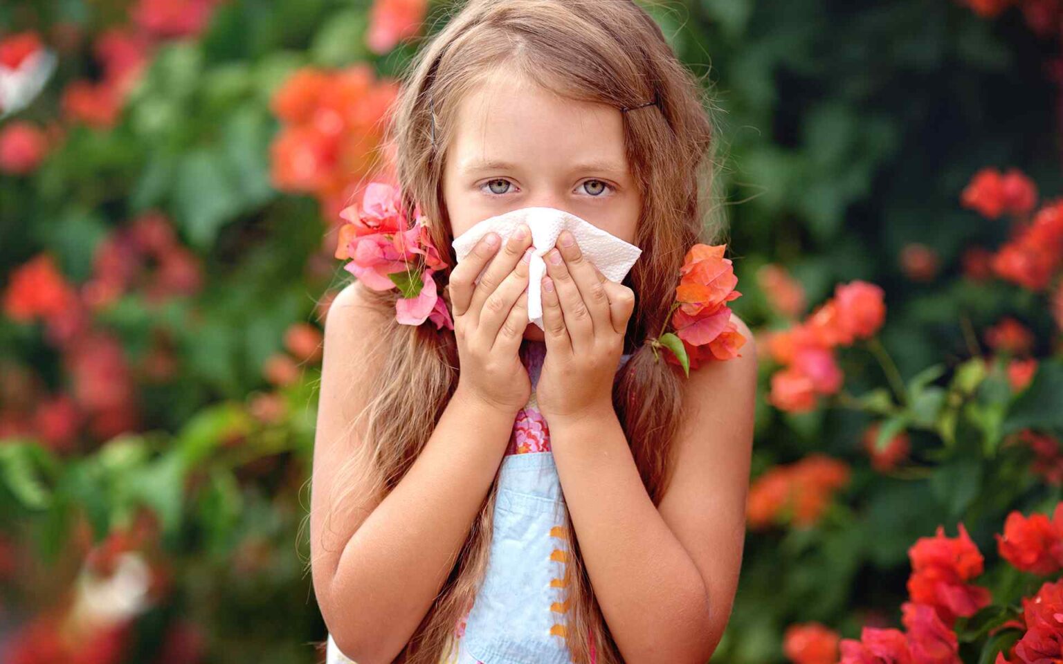 Everything You Need to Know About Allergies - Northern Arizona Medical ...