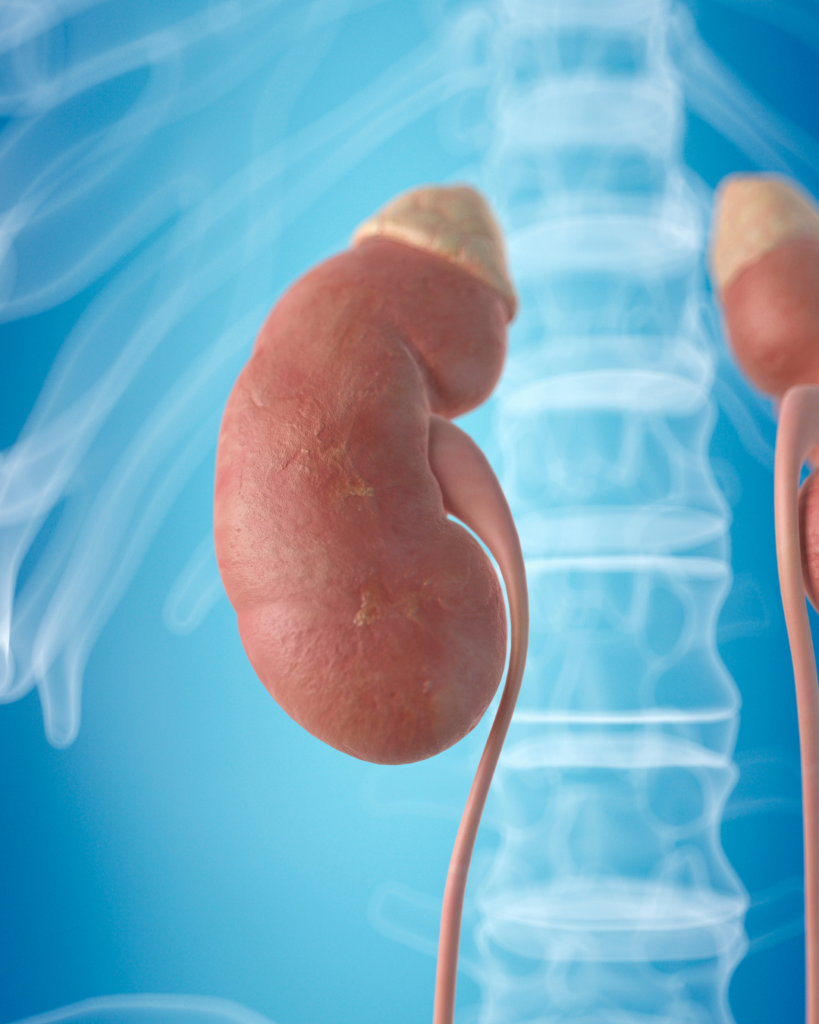 Our clinic in Kingman, Arizona provides comprehensive CKD evaluation